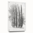 Acrylic landscape art piece displayed in a glass frame, showcasing vibrant colors and intricate details, complemented by decorative pins, ideal for modern decor.