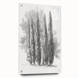 Acrylic landscape art piece displayed in a glass frame, showcasing vibrant colors and intricate details, complemented by decorative pins, ideal for modern decor.