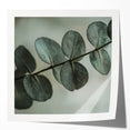 Close-up photo of green leaves in a glossy finish, ideal for art wall dining room or classy bathroom wall art.