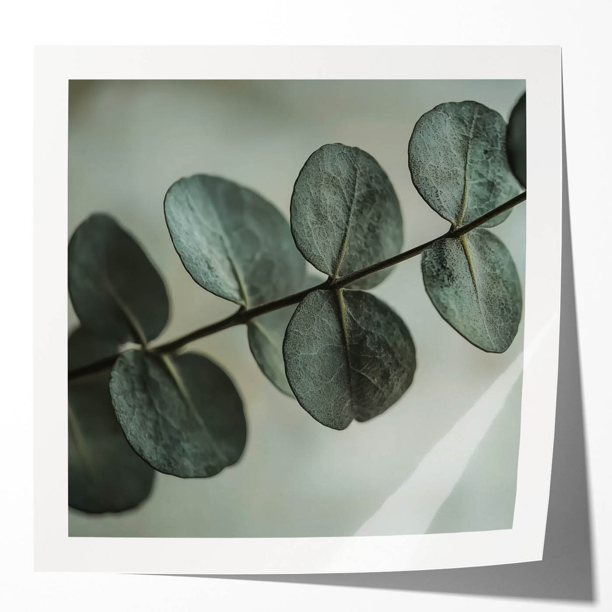 Close-up photo of green leaves in a glossy finish, ideal for art wall dining room or classy bathroom wall art.