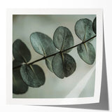 Close-up photo of green leaves in a glossy finish, ideal for art wall dining room or classy bathroom wall art.