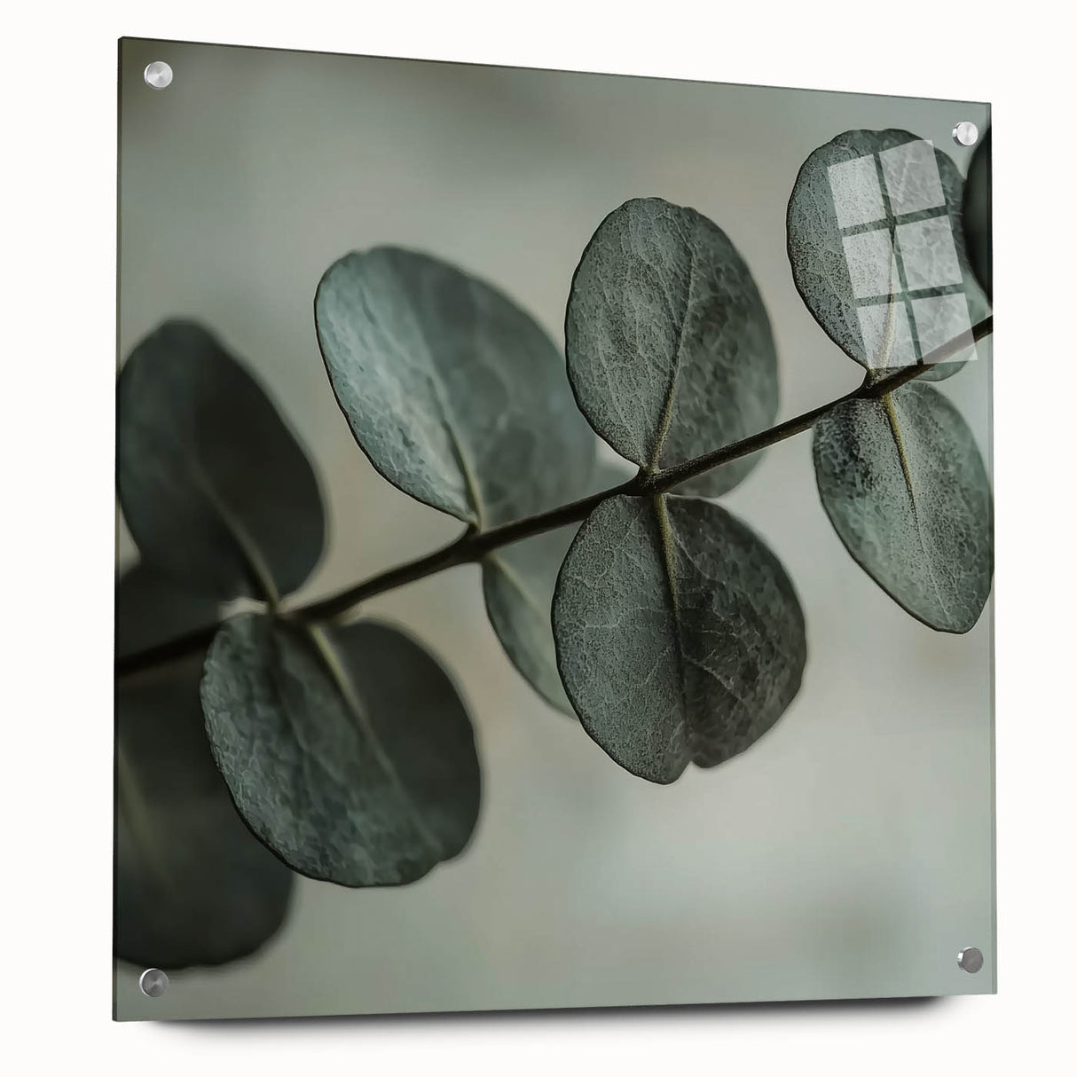 Close-up of green leaves, printed on acrylic glass, suits bedroom or dining room wall decor.