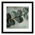 Extra large abstract art print of colorful, textured leaves, framed in black, ideal for living room decor.