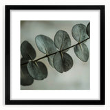 Extra large abstract art print of colorful, textured leaves, framed in black, ideal for living room decor.