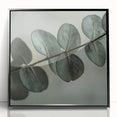 Large abstract wall art featuring close-up leaves in muted green tones, framed in black acrylic.