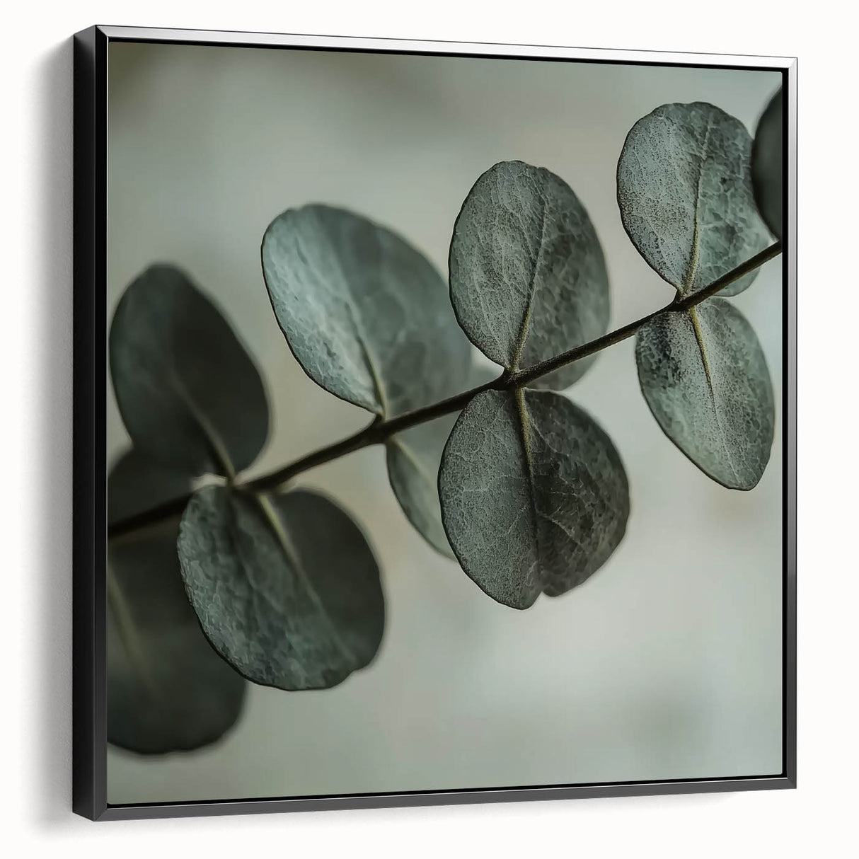 Black and white close-up photo of leaves on a framed canvas, suited for bedroom wall decor in a vintage style.