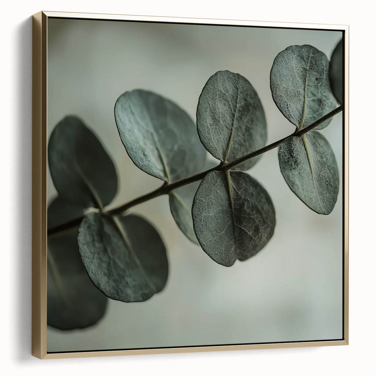 Framed canvas featuring close-up of leaves in silver and gold tones, suitable as wall art for a bedroom.