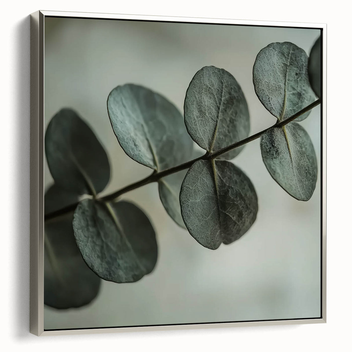 Framed canvas depicting close-up of green leaves, set against a silver frame, suitable for enhancing a living room or study.