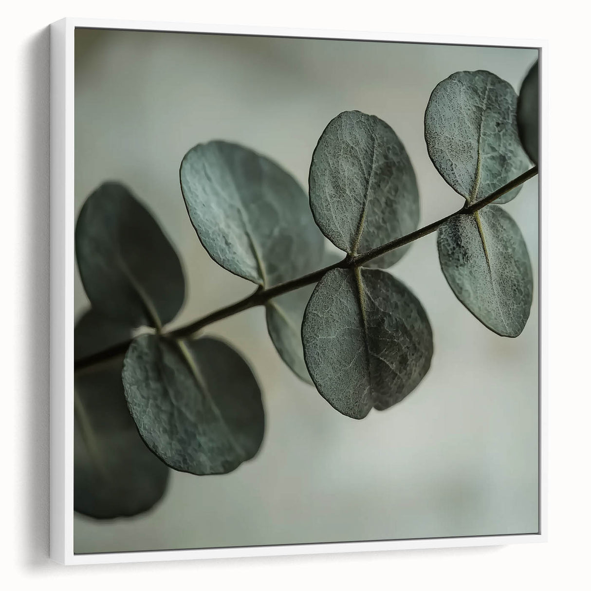 Vintage poster art of colorful leaves, framed canvas in white, ideal for extra large living room wall.