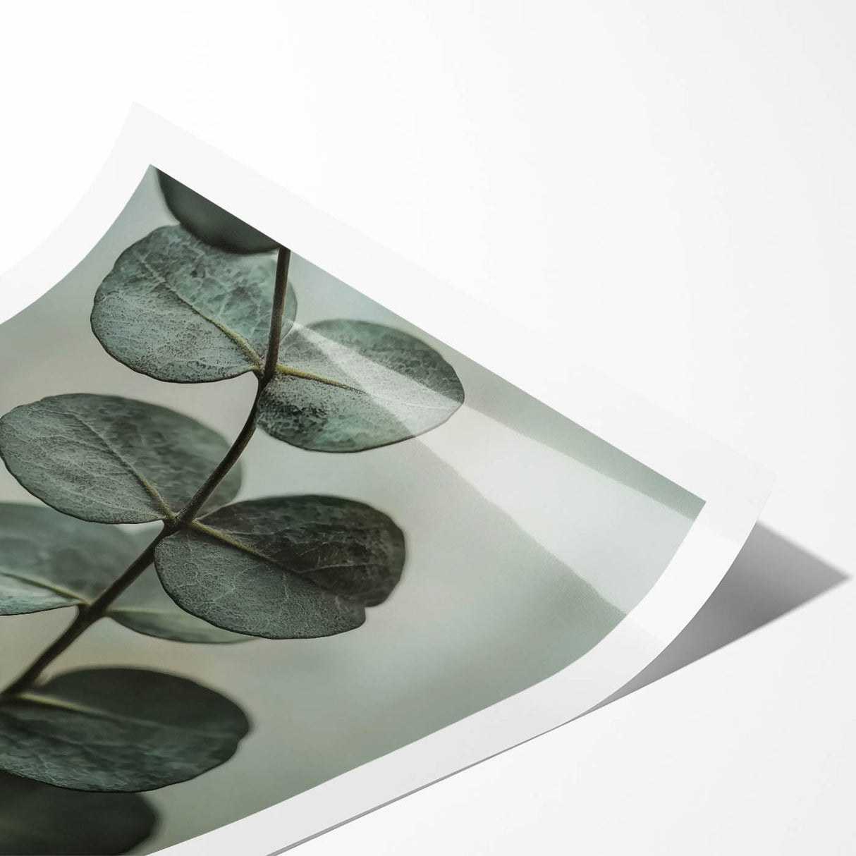 Extra large wall art featuring line art flowers and leaves in black on a white rolled canvas.