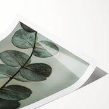 Extra large wall art featuring line art flowers and leaves in black on a white rolled canvas.