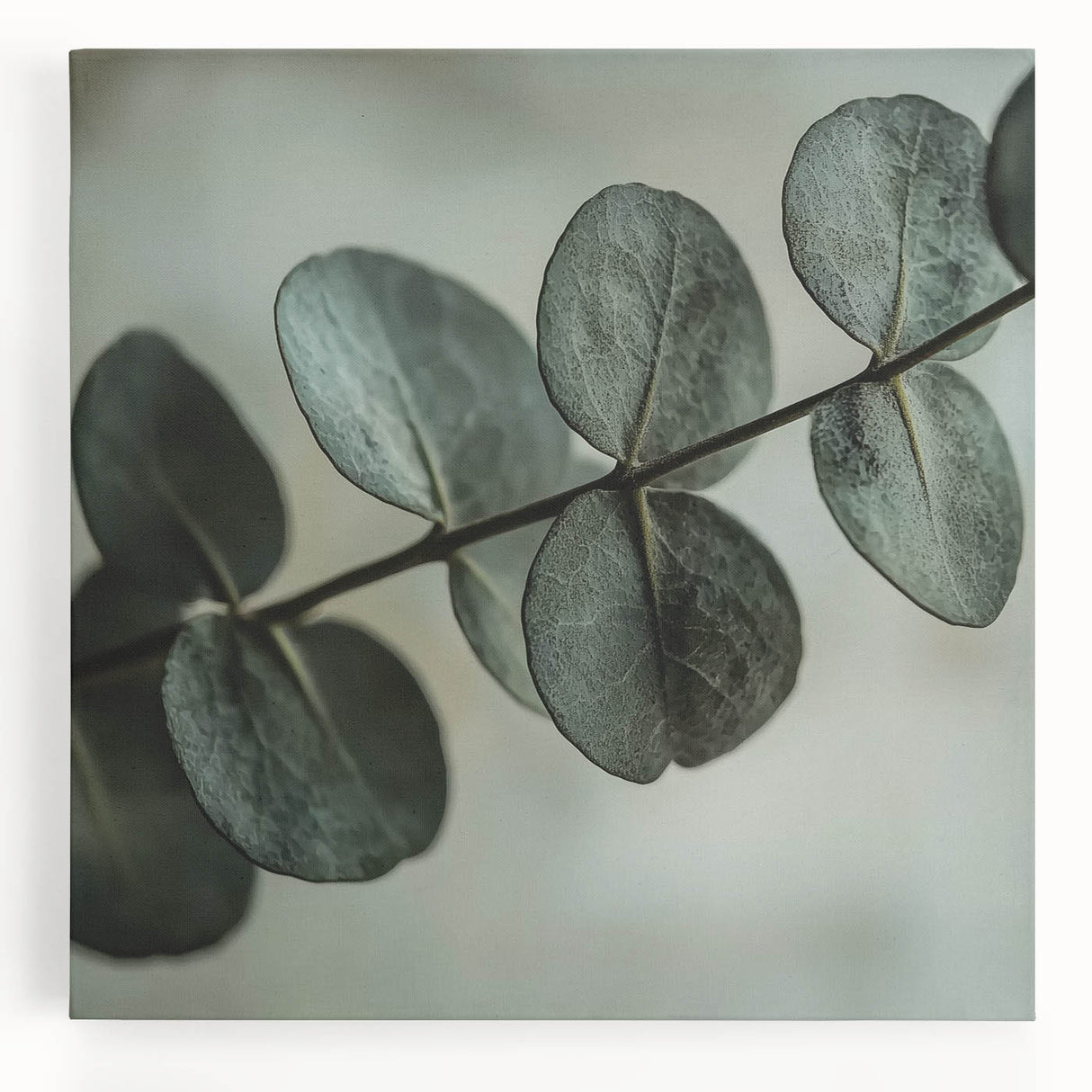 Black and white close-up photo of leaves on a stretched canvas, suitable as large kitchen wall art.