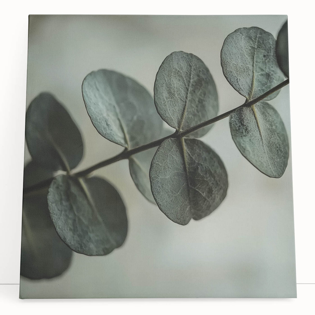 Close-up of leaves in black and white on a large stretched canvas, ideal for kitchen wall art.