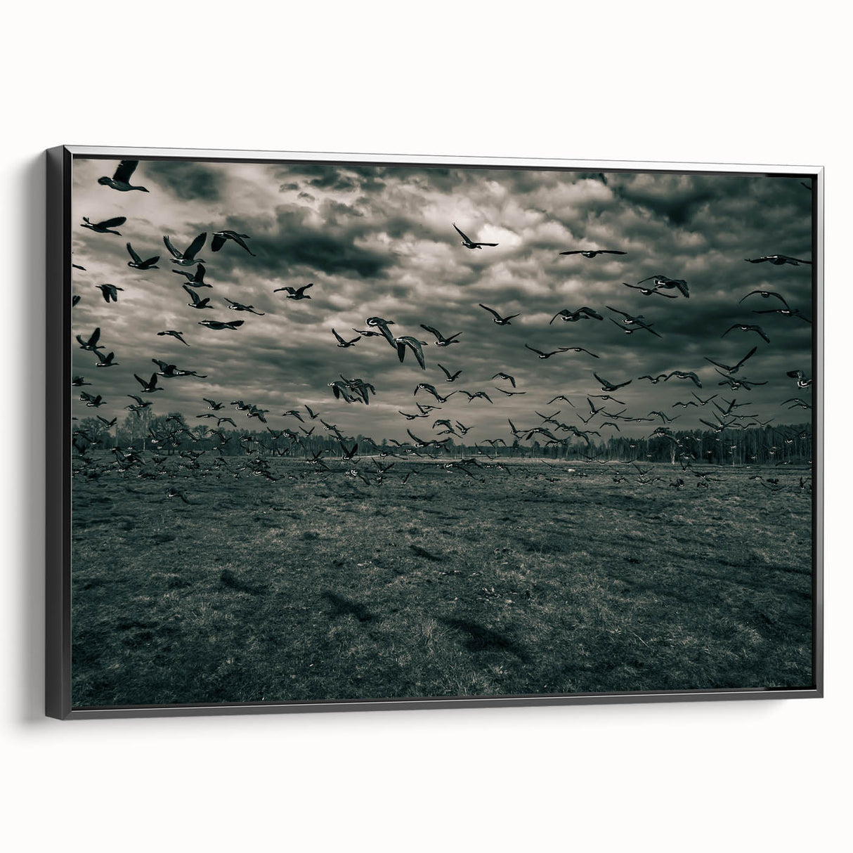 Black and white framed canvas of a Latvian landscape, ideal for bedroom wall decor.