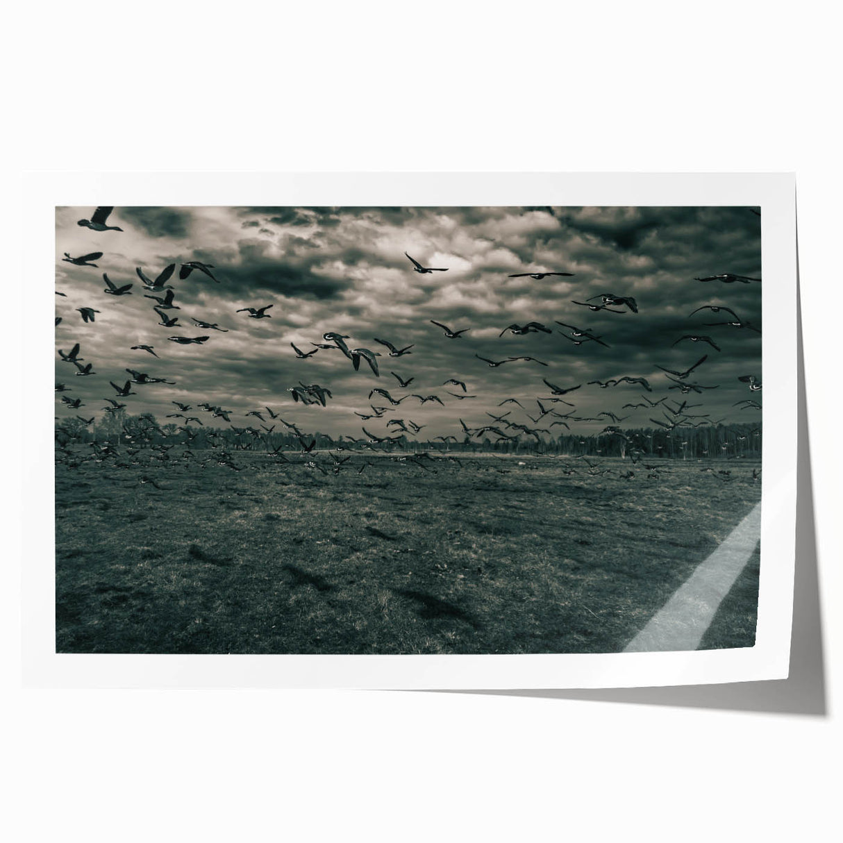 Extra large rolled print depicting a Latvian landscape with vibrant greenery and floral elements.