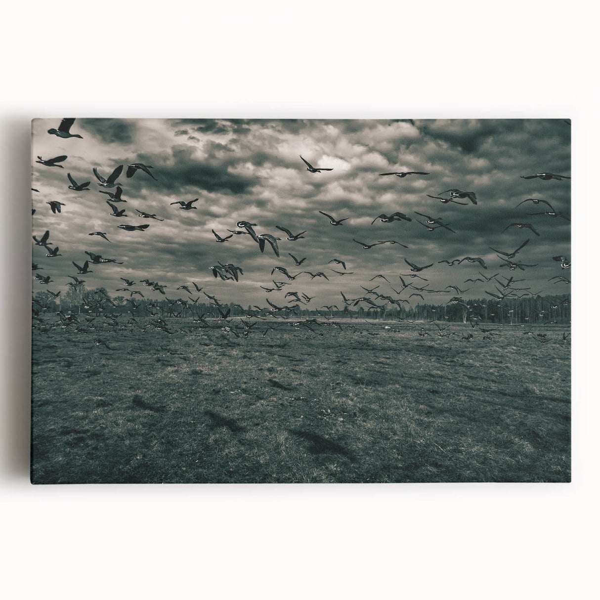 Black and white photo of a European cityscape on stretched canvas, suitable as kitchen wall art.