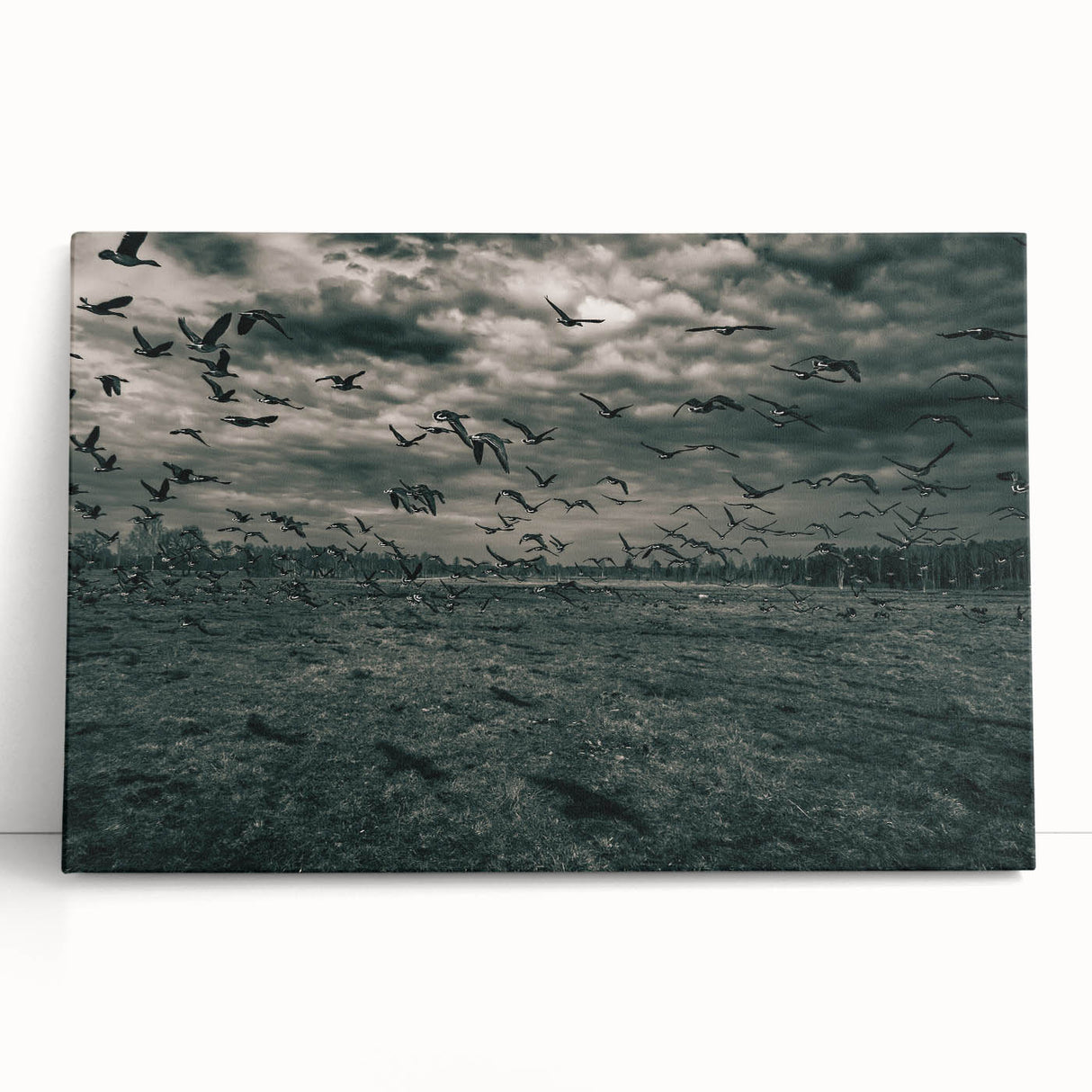 Black and white photograph of a European cityscape on a large stretched canvas, suitable for kitchen wall art.