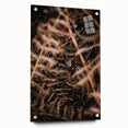 Large abstract wall art depicting autumnal trees in vibrant orange and red tones on acrylic glass.