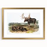 Romanticism Art: "Moose Deer" Wildlife Illustration Canvas Print