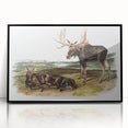 Romanticism Art: "Moose Deer" Wildlife Illustration Canvas Print