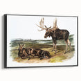 Romanticism Art: "Moose Deer" Wildlife Illustration Canvas Print