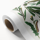 Romanticism Art: "Caterpillars and Chrysalis" Botanical Canvas Print