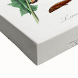 Romanticism Art: "Caterpillars and Chrysalis" Botanical Canvas Print