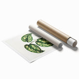 Romanticism Botanical Art: Pothos Argyraea Leaf Print on Canvas