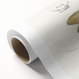 Romanticism Art Print: Eastern Dobsonfly Illustration by D'Orbigny