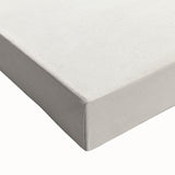 Romanticism Art Print: Eastern Dobsonfly Illustration by D'Orbigny