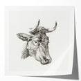 Romanticism Art Print: Head of a Cow - Timeless Sketch by Jean Bernard