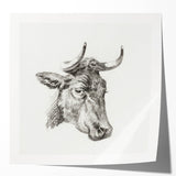 Romanticism Art Print: Head of a Cow - Timeless Sketch by Jean Bernard
