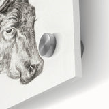 Romanticism Art Print: Head of a Cow - Timeless Sketch by Jean Bernard