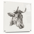 Romanticism Art Print: Head of a Cow - Timeless Sketch by Jean Bernard
