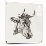 Romanticism Art Print: Head of a Cow - Timeless Sketch by Jean Bernard