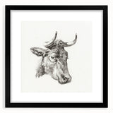 Romanticism Art Print: Head of a Cow - Timeless Sketch by Jean Bernard