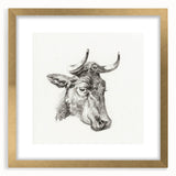 Romanticism Art Print: Head of a Cow - Timeless Sketch by Jean Bernard