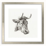 Romanticism Art Print: Head of a Cow - Timeless Sketch by Jean Bernard