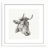 Romanticism Art Print: Head of a Cow - Timeless Sketch by Jean Bernard