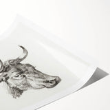 Romanticism Art Print: Head of a Cow - Timeless Sketch by Jean Bernard