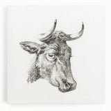 Romanticism Art Print: Head of a Cow - Timeless Sketch by Jean Bernard