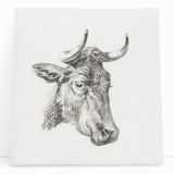 Romanticism Art Print: Head of a Cow - Timeless Sketch by Jean Bernard
