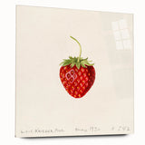 Large abstract wall art featuring an assortment of fruits in vibrant colors on acrylic glass.