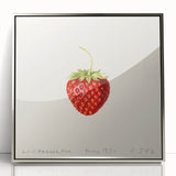 Mid-century modernist art featuring an array of colorful fruits on a silver-framed acrylic, ideal for modern kitchen decor.