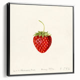 Black and white vintage poster art of various fruits on a framed canvas, ideal for bedroom wall decor.