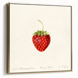 Vintage poster art of fruits on a silver and gold canvas, ideal for bedroom wall decor.