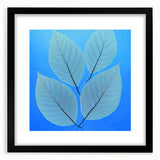 Extra large abstract art print featuring textured, colorful leaves, framed in black, ideal for living room decor.