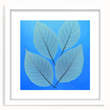 Abstract art print of close-up green leaves on white framed mat, ideal for dining room decor.