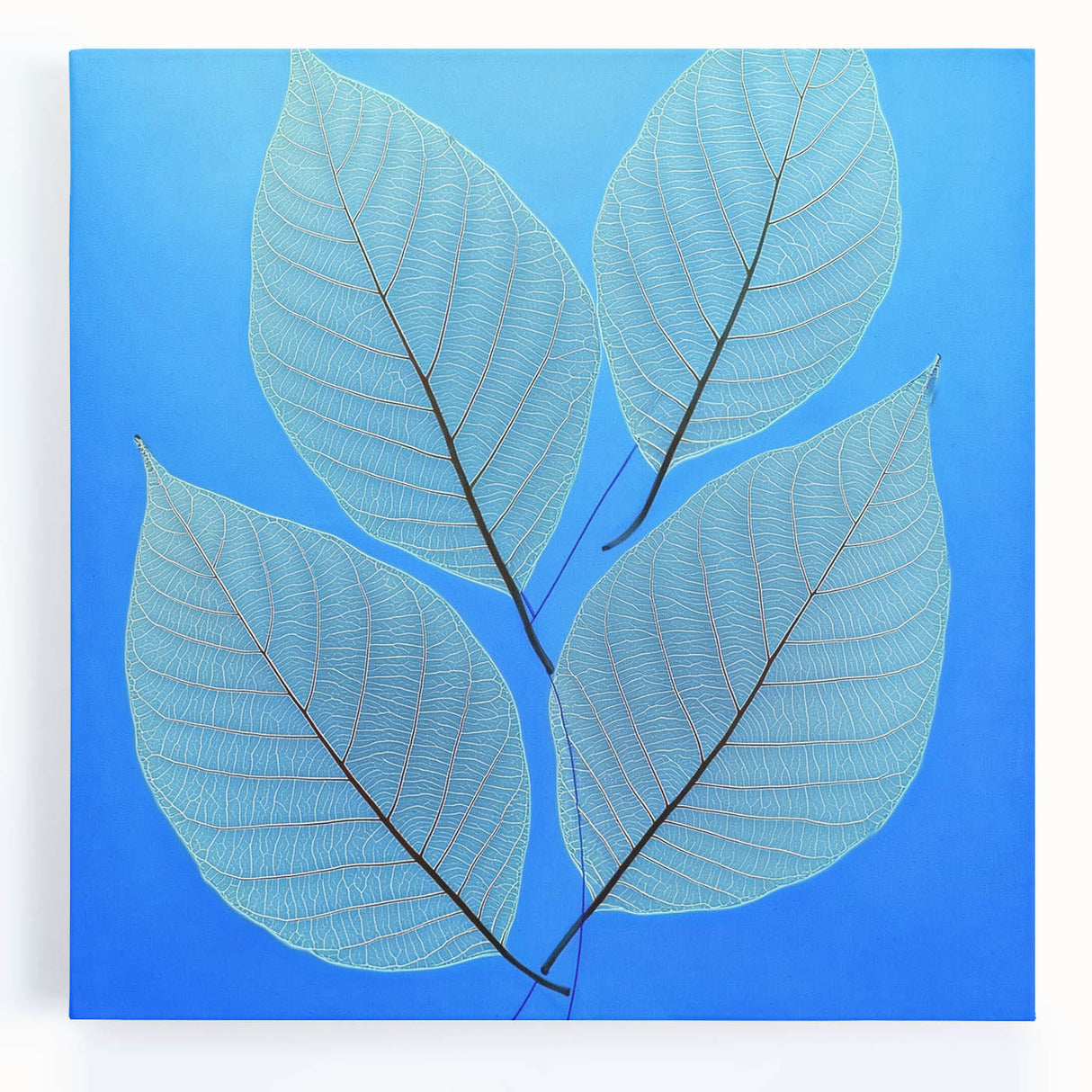 Black and white close-up photo of leaves on a large stretched canvas, suitable for kitchen wall art.