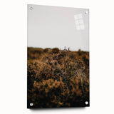 Large abstract wall art depicting autumnal trees on acrylic glass, with warm orange and red tones.